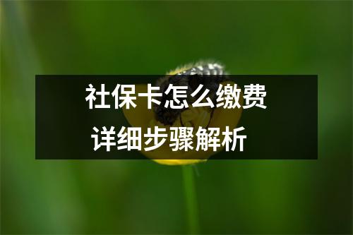 社保卡怎么缴费 详细步骤解析