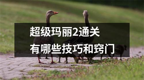 超级玛丽2通关 有哪些技巧和窍门