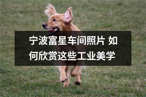 宁波富星车间照片 如何欣赏这些工业美学