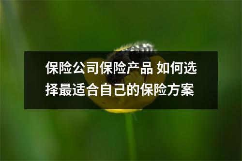 保险公司保险产品 如何选择最适合自己的保险方案