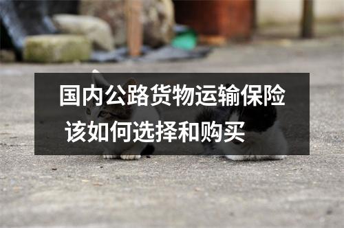国内公路货物运输保险 该如何选择和购买