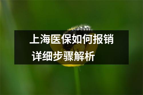上海医保如何报销 详细步骤解析