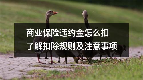 商业保险违约金怎么扣 了解扣除规则及注意事项