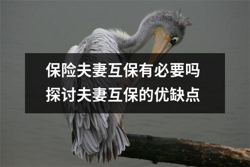 保险夫妻互保有必要吗 探讨夫妻互保的优缺点