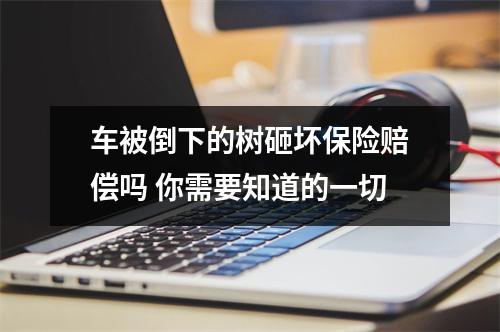 车被倒下的树砸坏保险赔偿吗 你需要知道的一切