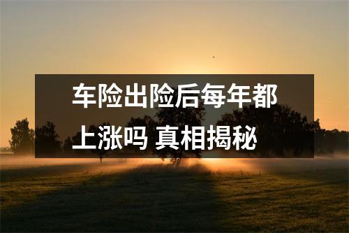 车险出险后每年都上涨吗 真相揭秘