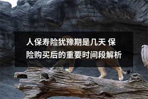 人保寿险犹豫期是几天 保险购买后的重要时间段解析