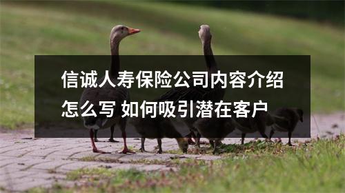 信诚人寿保险公司内容介绍怎么写 如何吸引潜在客户