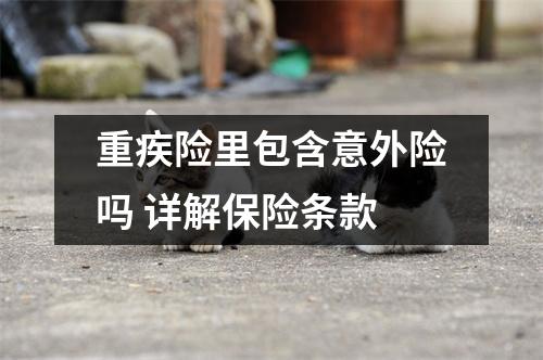 重疾险里包含意外险吗 详解保险条款