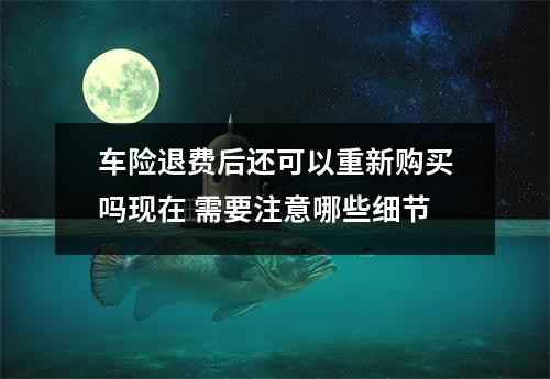 车险退费后还可以重新购买吗现在 需要注意哪些细节