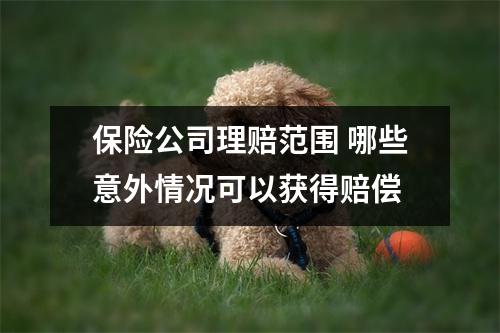 保险公司理赔范围 哪些意外情况可以获得赔偿