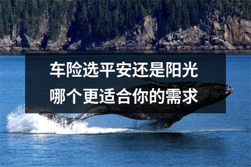 车险选平安还是阳光 哪个更适合你的需求