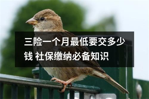 三险一个月最低要交多少钱 社保缴纳必备知识