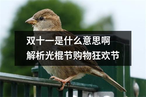 双十一是什么意思啊 解析光棍节购物狂欢节