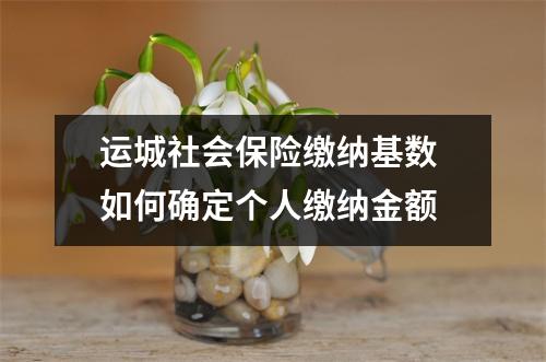 运城社会保险缴纳基数 如何确定个人缴纳金额