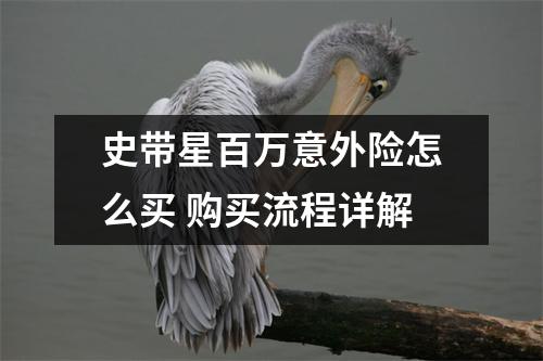 史带星百万意外险怎么买 购买流程详解