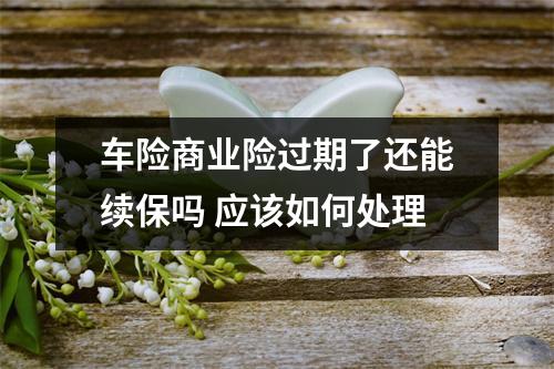 车险商业险过期了还能续保吗 应该如何处理