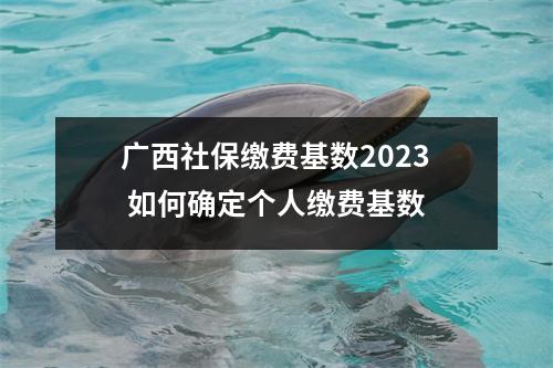 广西社保缴费基数2023 如何确定个人缴费基数 