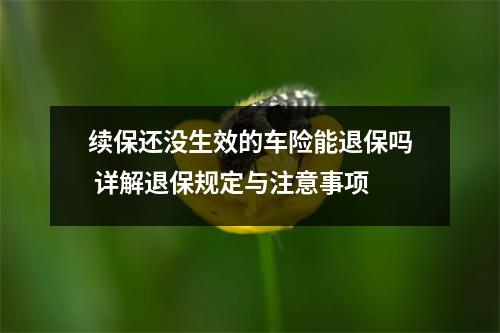 续保还没生效的车险能退保吗 详解退保规定与注意事项