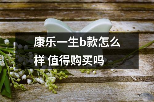 康乐一生b款怎么样 值得购买吗