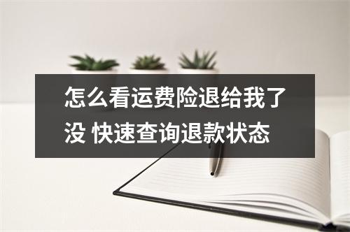 怎么看运费险退给我了没 快速查询退款状态