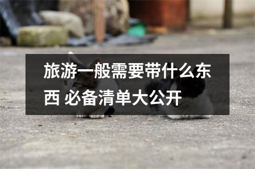 旅游一般需要带什么东西 必备清单大公开