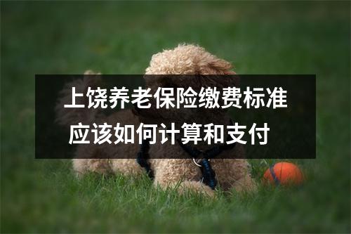 上饶养老保险缴费标准 应该如何计算和支付