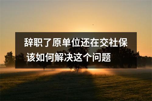 辞职了原单位还在交社保 该如何解决这个问题