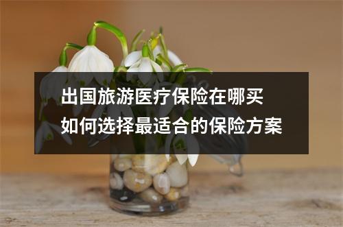 出国旅游医疗保险在哪买 如何选择最适合的保险方案