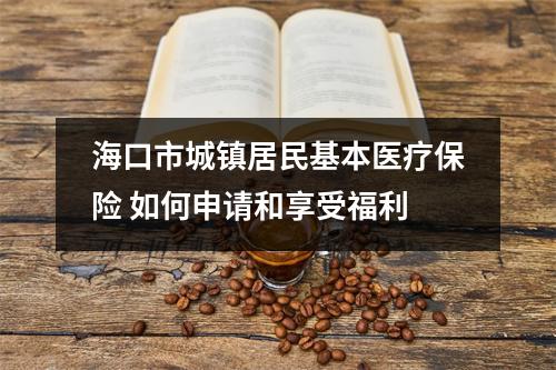 海口市城镇居民基本医疗保险 如何申请和享受福利