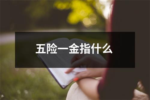 五险一金指什么