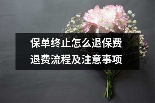 保单终止怎么退保费 退费流程及注意事项
