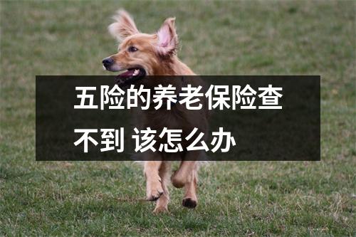 五险的养老保险查不到 该怎么办 