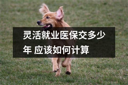 灵活就业医保交多少年 应该如何计算