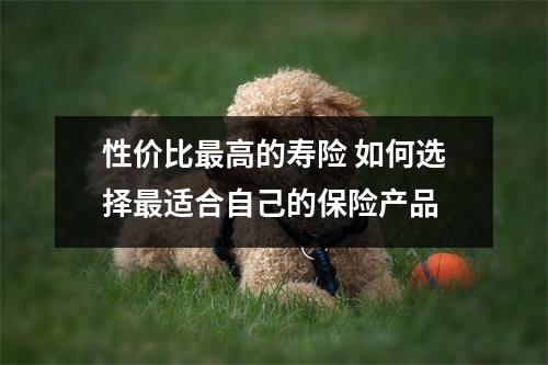性价比最高的寿险 如何选择最适合自己的保险产品