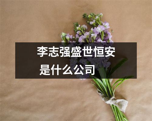 李志强盛世恒安 是什么公司 