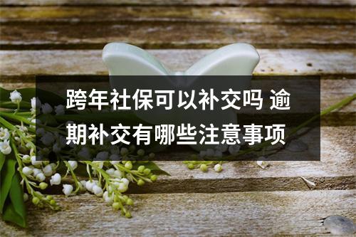 跨年社保可以补交吗 逾期补交有哪些注意事项