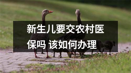 新生儿要交农村医保吗 该如何办理