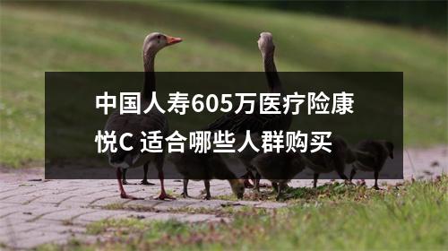 中国人寿605万医疗险康悦C 适合哪些人群购买 