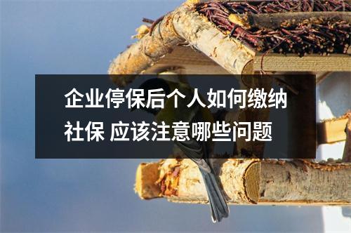 企业停保后个人如何缴纳社保 应该注意哪些问题