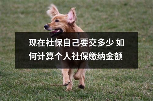 现在社保自己要交多少 如何计算个人社保缴纳金额
