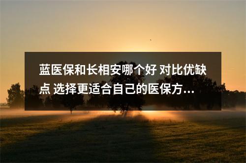 蓝医保和长相安哪个好 对比优缺点 选择更适合自己的医保方案
