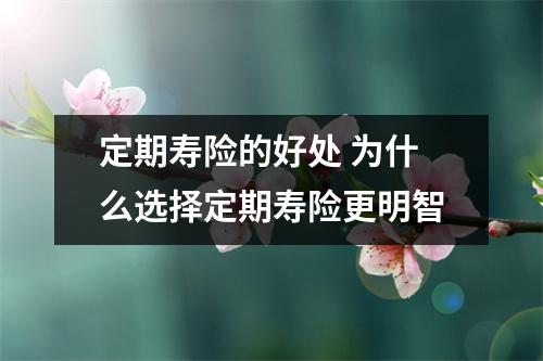 定期寿险的好处 为什么选择定期寿险更明智