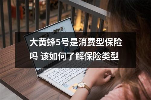 大黄蜂5号是消费型保险吗 该如何了解保险类型