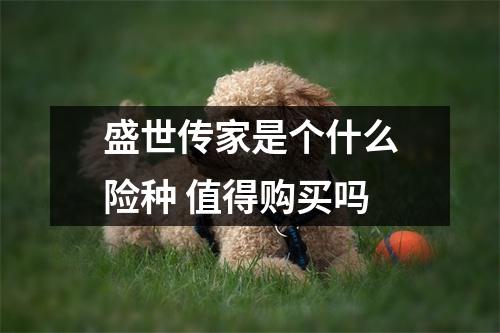 盛世传家是个什么险种 值得购买吗