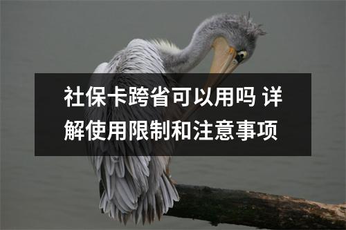 社保卡跨省可以用吗 详解使用限制和注意事项