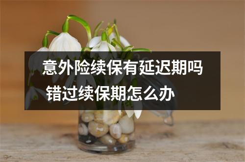 意外险续保有延迟期吗 错过续保期怎么办