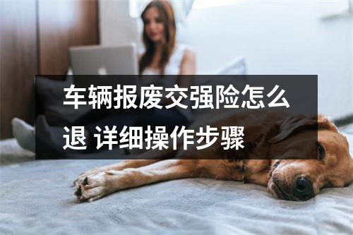 车辆报废交强险怎么退 详细操作步骤