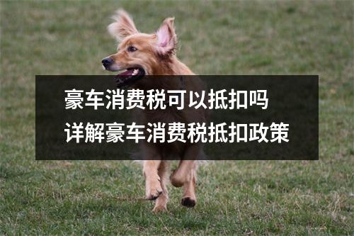 豪车消费税可以抵扣吗 详解豪车消费税抵扣政策