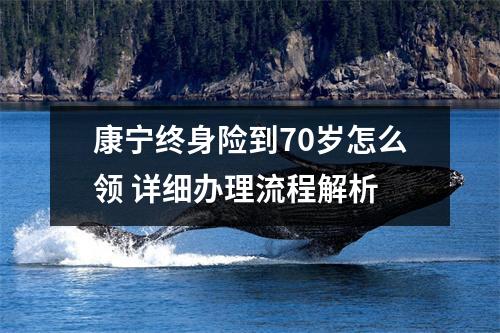 康宁终身险到70岁怎么领 详细办理流程解析